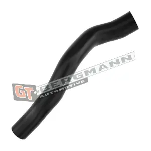 GT52-313 GT-BERGMANN