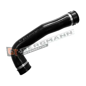 GT52-780 GT-BERGMANN
