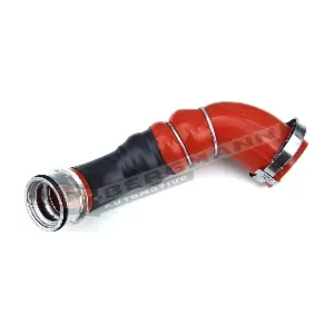GT52-014 GT-BERGMANN