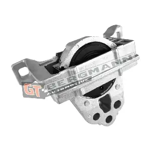 GT-BERGMANN GT25-039