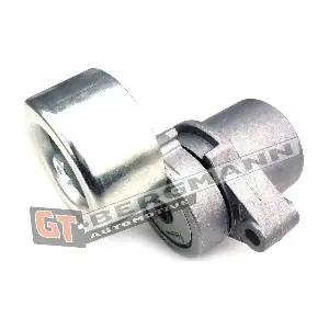 GT51-046 GT-BERGMANN
