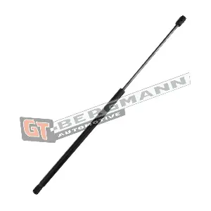 GT72-020 GT-BERGMANN