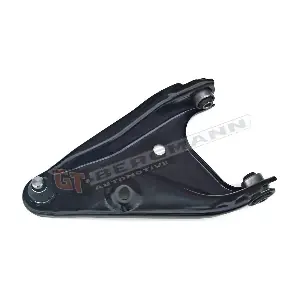 GT-BERGMANN GT20-074