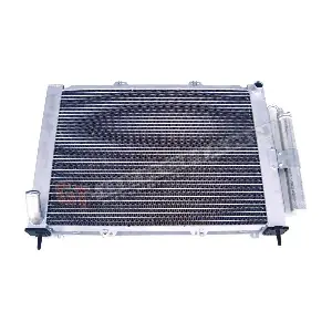 GT10-047 GT-BERGMANN
