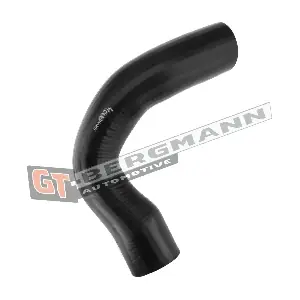 GT52-278 GT-BERGMANN