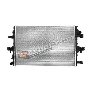GT10-169 GT-BERGMANN