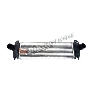 GT12-021 GT-BERGMANN