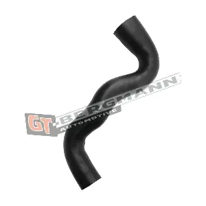 GT52-603 GT-BERGMANN