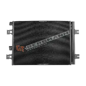 GT-BERGMANN GT11-081