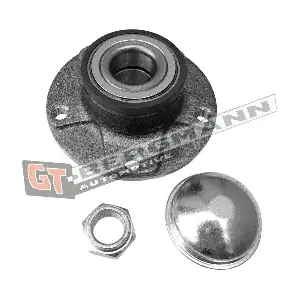 GT24-253 GT-BERGMANN