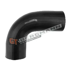 GT52-563 GT-BERGMANN