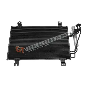 GT11-079 GT-BERGMANN