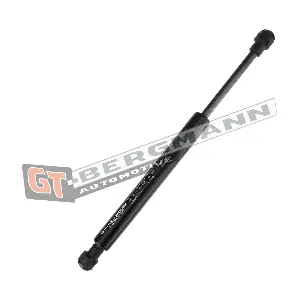 GT72-015 GT-BERGMANN