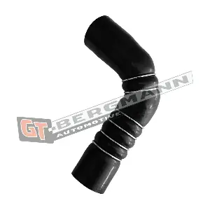 GT52-686 GT-BERGMANN