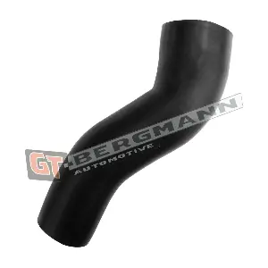 GT52-634 GT-BERGMANN