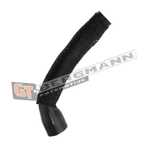 GT52-635 GT-BERGMANN