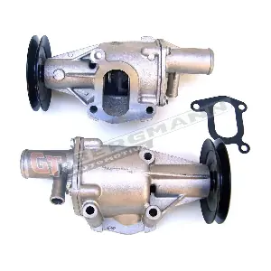 GT16-009 GT-BERGMANN
