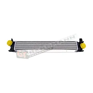 GT12-009 GT-BERGMANN