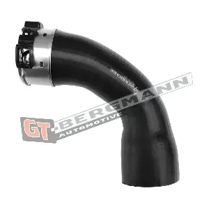 GT52-498 GT-BERGMANN