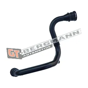 GT52-177 GT-BERGMANN