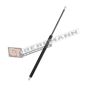 GT72-026 GT-BERGMANN