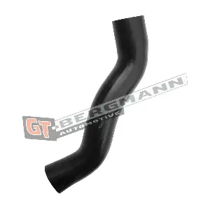 GT52-618 GT-BERGMANN