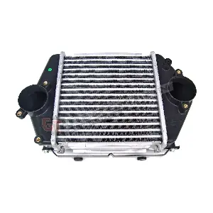 GT12-019 GT-BERGMANN