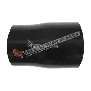 GT52-321 GT-BERGMANN