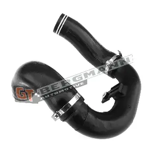 GT52-396 GT-BERGMANN