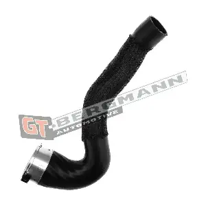 GT-BERGMANN GT52-240