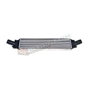 GT12-002 GT-BERGMANN