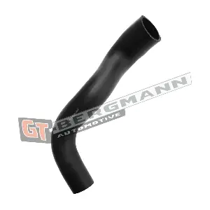 GT52-616 GT-BERGMANN