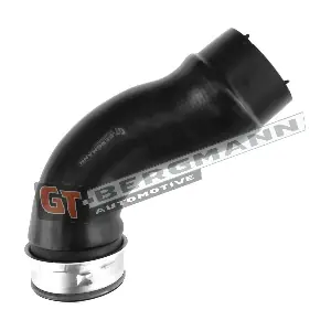 GT-BERGMANN GT52-491