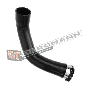 GT52-357 GT-BERGMANN