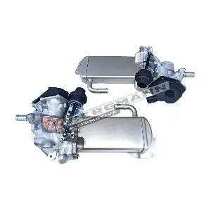 GT55-002 GT-BERGMANN