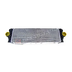 GT12-004 GT-BERGMANN