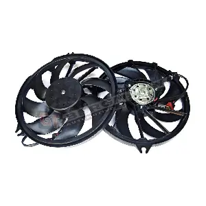 GT-BERGMANN GT13-016