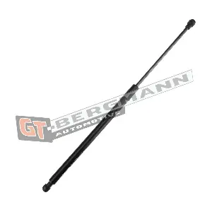 GT-BERGMANN GT72-011