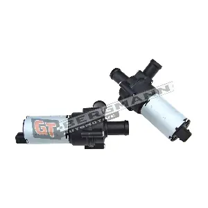 GT-BERGMANN GT16-005