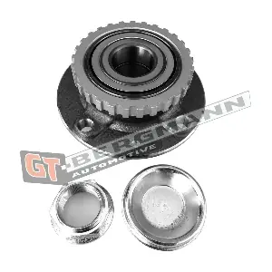 GT-BERGMANN GT24-100