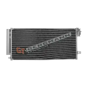 GT-BERGMANN GT11-077