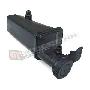 GT15-010 GT-BERGMANN