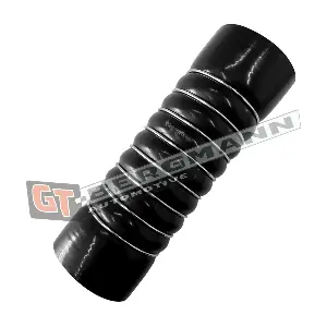 GT52-754 GT-BERGMANN