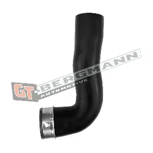 GT52-489 GT-BERGMANN