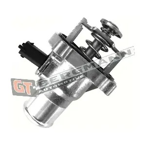 GT-BERGMANN GT17-027