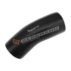 GT-BERGMANN GT52-299
