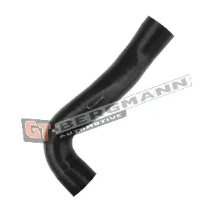 GT52-568 GT-BERGMANN