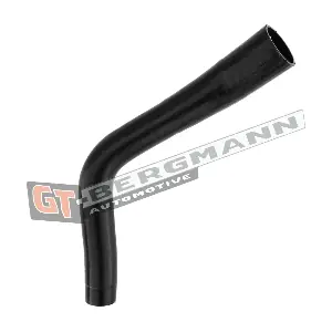 GT52-271 GT-BERGMANN