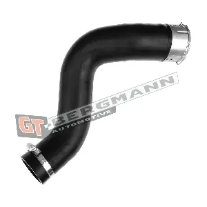GT52-646 GT-BERGMANN