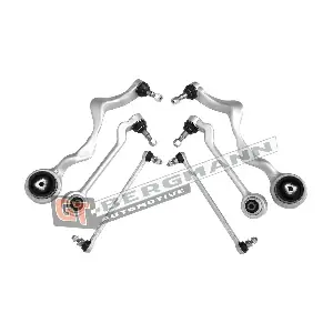 GT-BERGMANN GT21-008